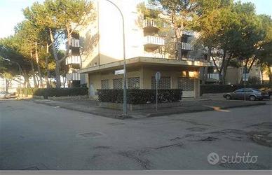 Locale Commerciale 5 Vetrine