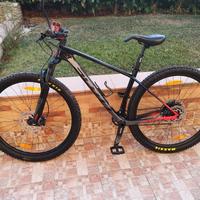 Mountain bike in fibra di Carbonio