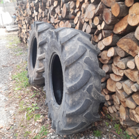 Gomme forestale usate