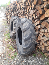 Gomme forestale usate