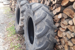 Gomme forestale usate