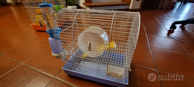 Gabbia criceto piccola