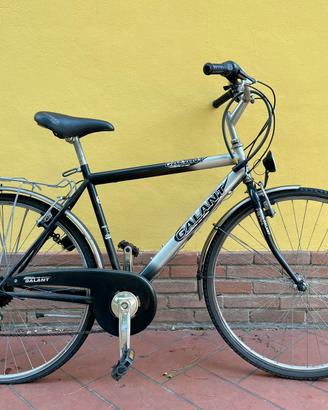 Bici da uomo Galant