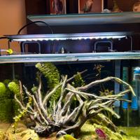 Plafoniera LED NemoLight II 48W per acqua dolce