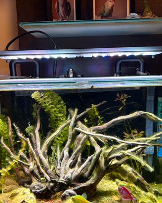 Plafoniera LED NemoLight II 48W per acqua dolce