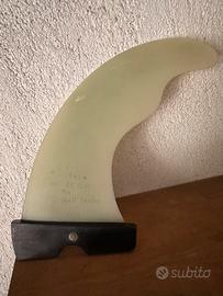 Pinna windsurf