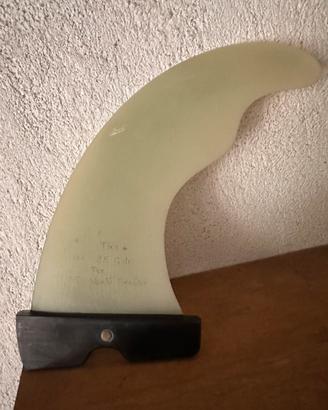 Pinna windsurf