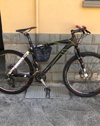 bicicletta