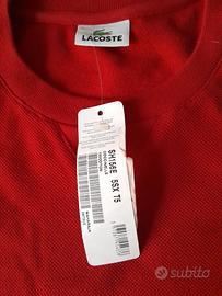 felpa cotone lacoste