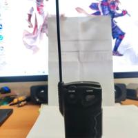 Radio PANASHIBA FM Pocket testata e funzionante.