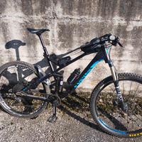 bici biamortizzata XL