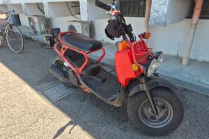 Honda Zoomer del 2004