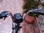 Immagine 3