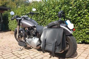 HD Softail Slim
