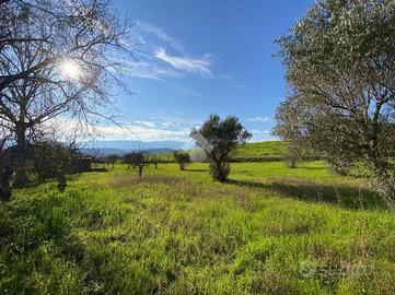 TER. RESIDENZIALE A MONTALTO UFFUGO