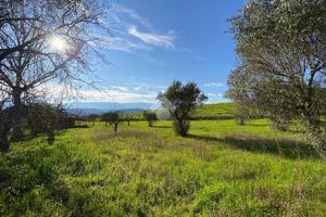 TER. RESIDENZIALE A MONTALTO UFFUGO