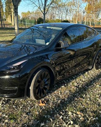 Model Y Performance