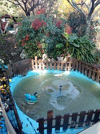 Anatroccoli di un mese