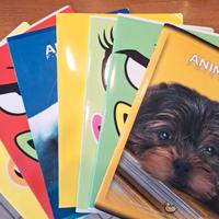 QUADERNI (A4) PER CLASSE 2-4 ELEMENTARE RIGHE