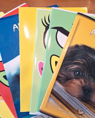 QUADERNI (A4) PER CLASSE 2-4 ELEMENTARE RIGHE