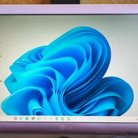 monitor LG Flatron W1930S VGA