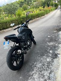 Scarico mivv gp