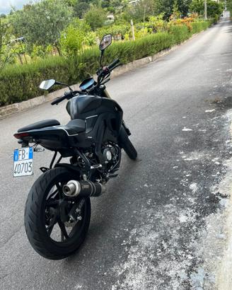 Scarico mivv gp