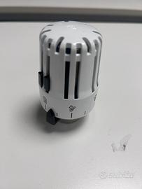 Testine termostatiche per radiatori Pintossi