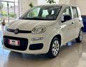 fiat-panda-easy-1-2-benz-69cv-euro6d