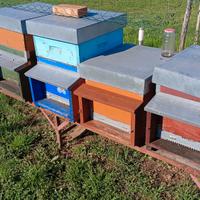 Arnie per apicoltura