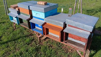 Arnie per apicoltura