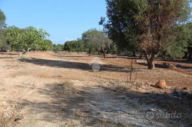 TER. AGRICOLO A CAROVIGNO