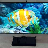 Monitor HP full-hd 22,5 pollici HDMI-VGA perfetto.