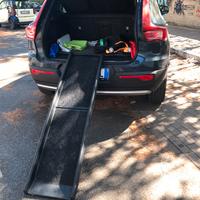 Rampa piegheve per cane