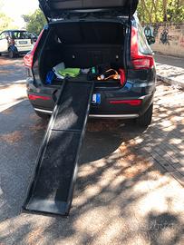 Rampa piegheve per cane