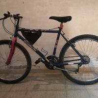 mtb bianchi