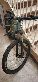 mountain bike elettrica giant live