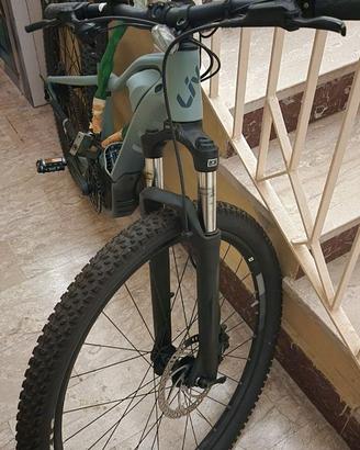 mountain bike elettrica giant live