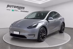 Tesla Model Y Performance Dual Motor 4WD