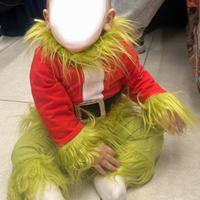 Costume grinch
