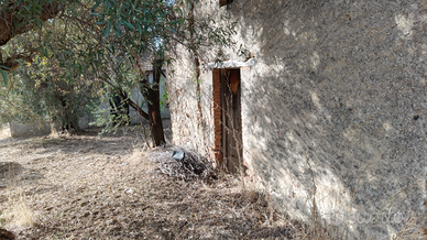 Terreno agricolo e cascinale