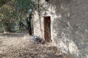 Terreno agricolo e cascinale