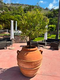 Orcio Toscano in terracotta
