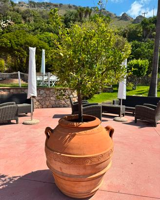 Orcio Toscano in terracotta