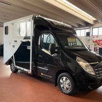 Renault master trasporto cavalli