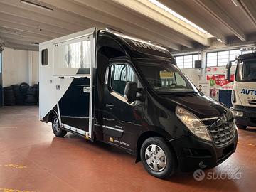 Renault master trasporto cavalli