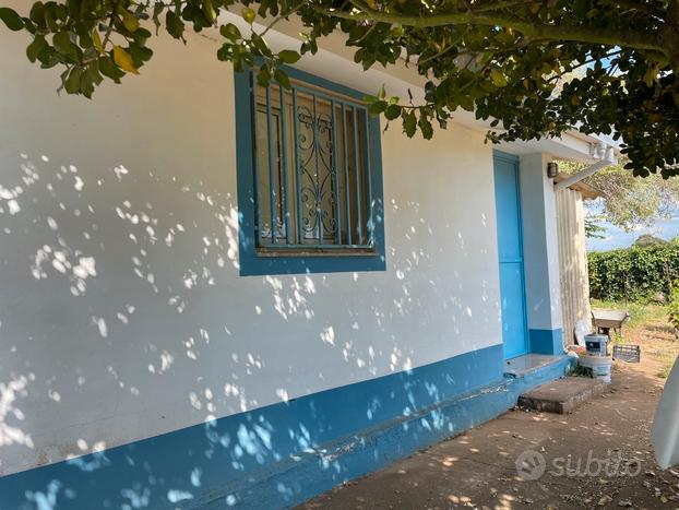 Terreno vigneto uliveto frutteto con casa