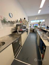 Rif.B436| negozio chioggia