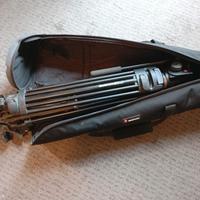 Treppiedi Manfrotto 25 con testa 501