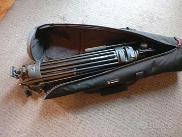 Treppiedi Manfrotto 25 con testa 501